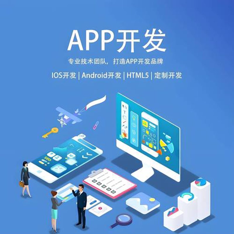 定制化企业软件：适应未来发展的不二选择